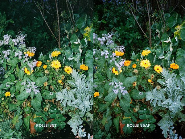 Real world test! New Rollei 35AF vs Old Rollei 35T by abigail legg