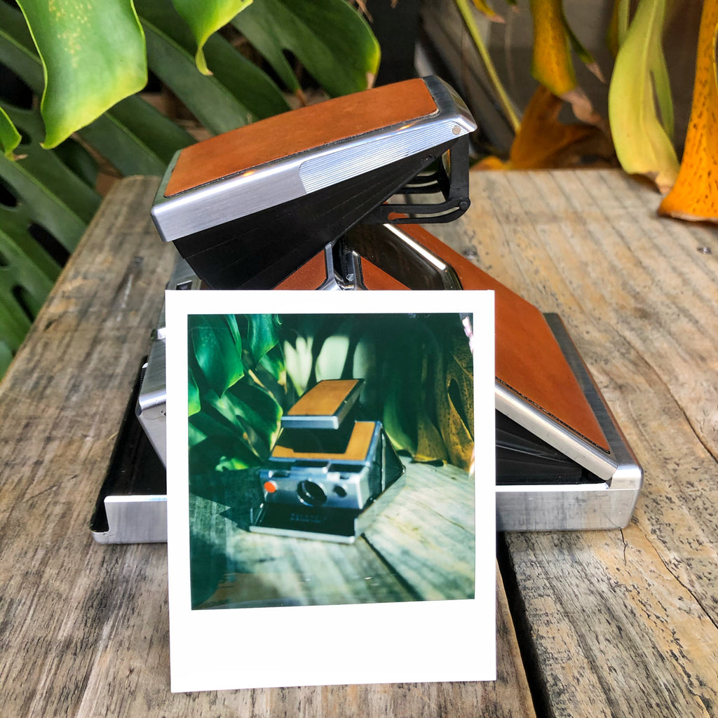 My Splendid Camera - Duncan Manning (Polaroid SX70)
