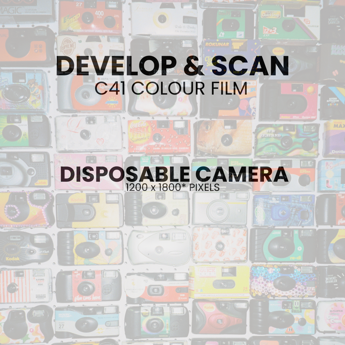 Develop and Scan - Disposable Camera (35mm C41 Colour Film)– splendid.nz