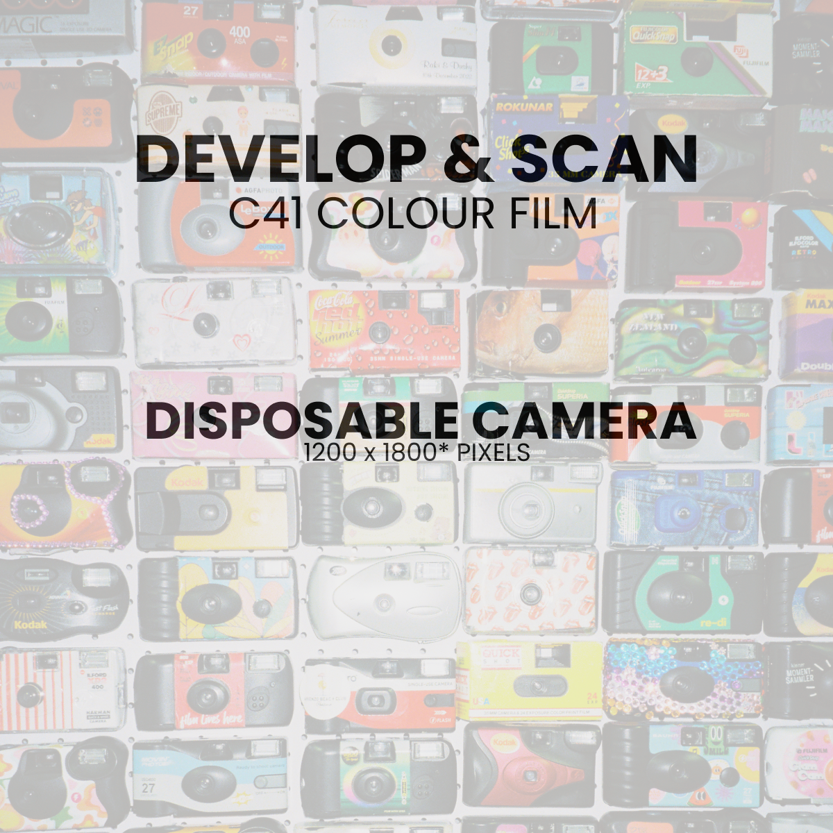 Develop Disposable Camera Develop and Scan - Disposable Camera (35mm C41 Colour Film)– splendid.nz