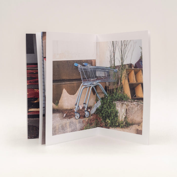 Trollied, Jenn Hadley, Pōneke Photo Press, Edition 2