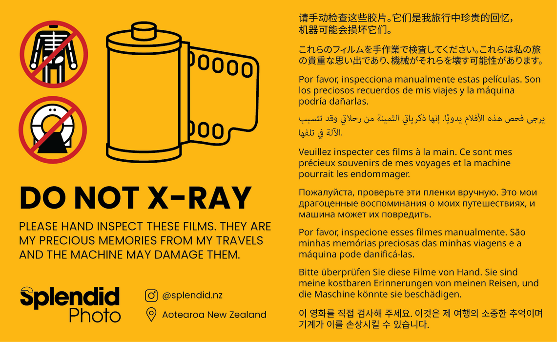 Splendid Sticker Splendid XRay Sticker– splendid.nz