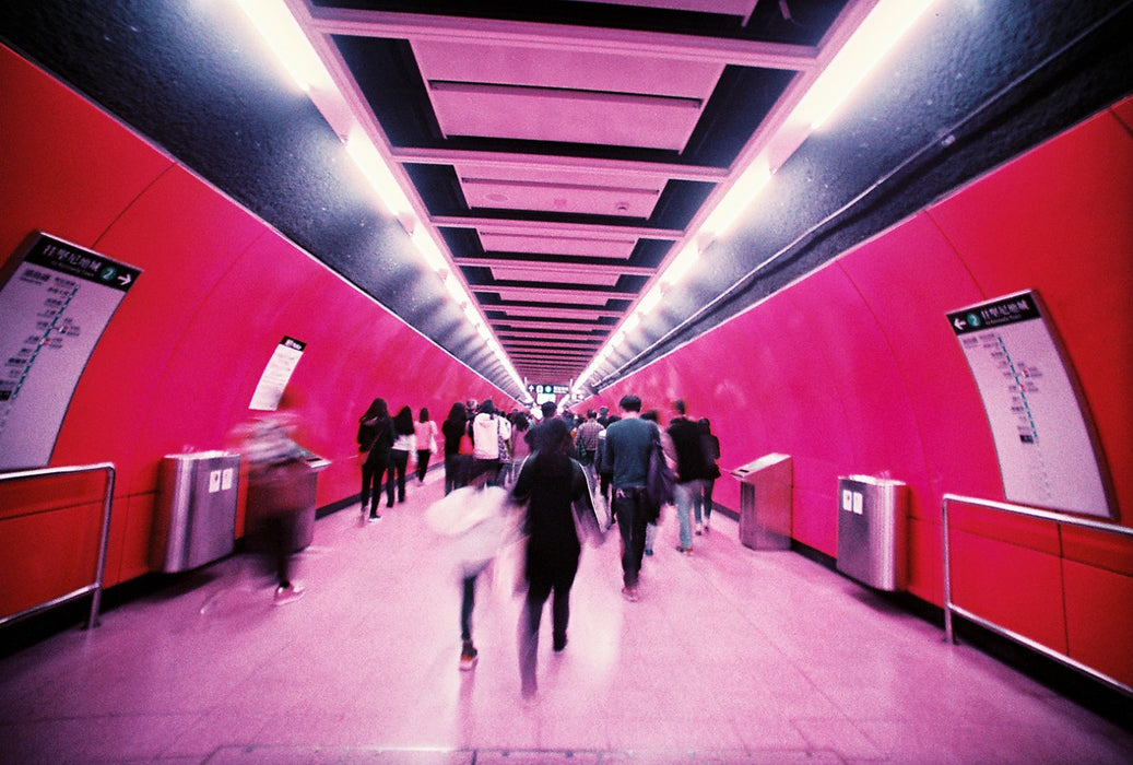 LomoChrome Purple (135, 36exp, 100-400ISO)