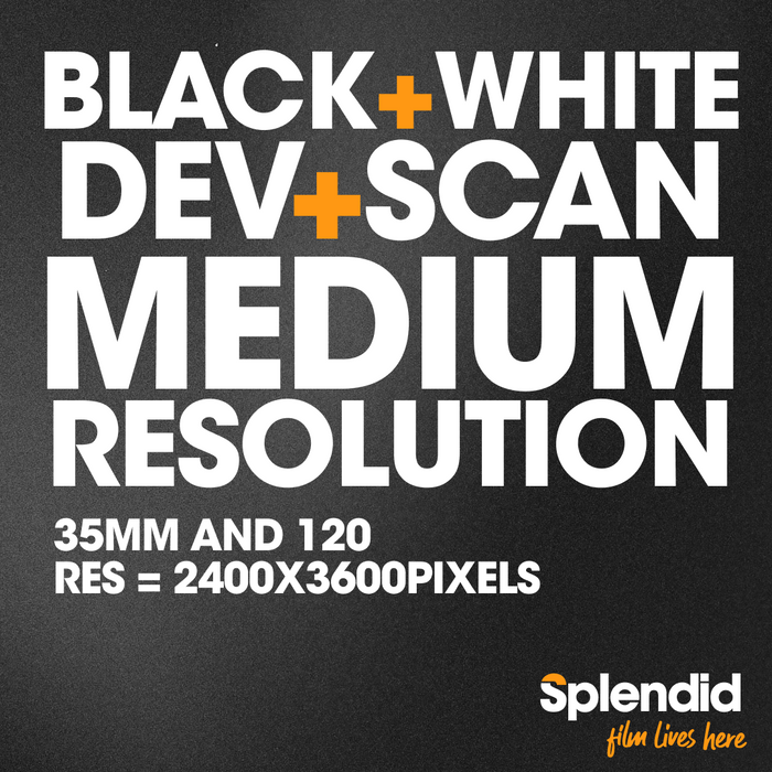 Develop and Scan - Medium Resolution (35mm & 120 B&W)