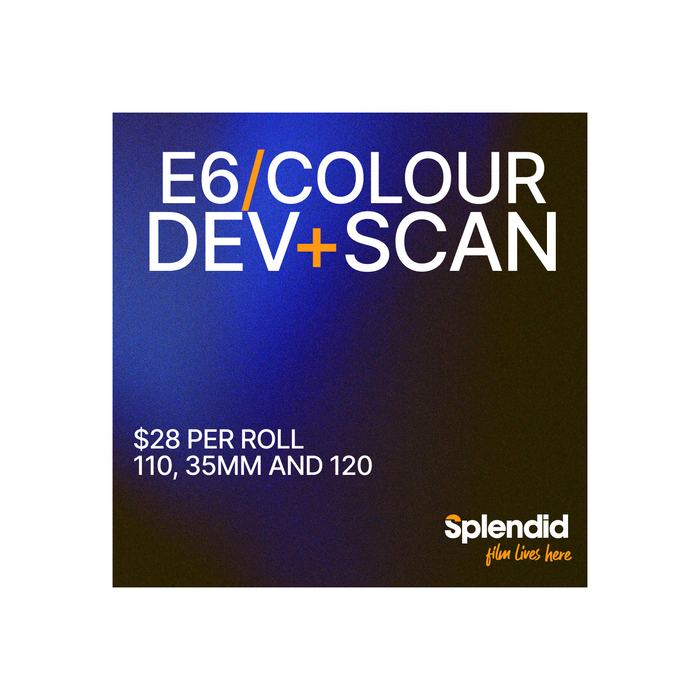 E6 Develop and Scan